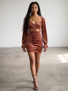 privy Mini  Rust Velvet Ruched Mini Dress with Long Sleeves